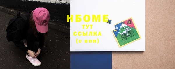 стаф Алзамай