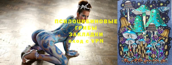 альфа пвп Пролетарск