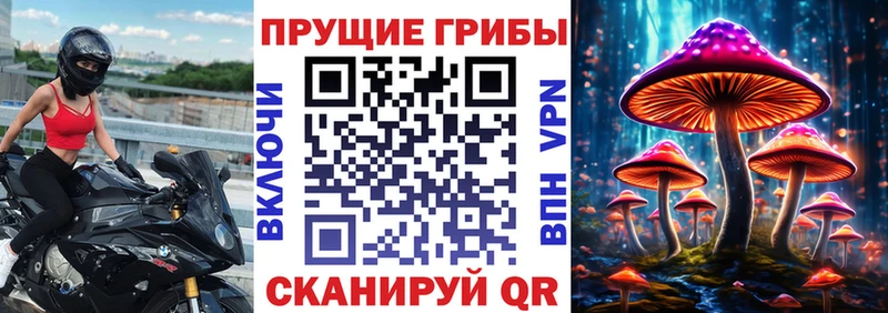 Галлюциногенные грибы GOLDEN TEACHER  Кумертау 