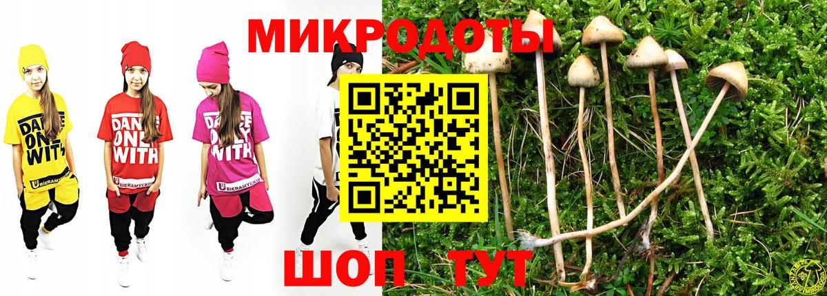 Галлюциногенные грибы Psilocybine cubensis Кумертау
