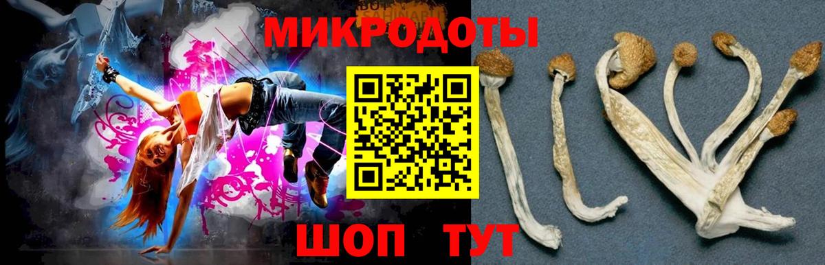 Галлюциногенные грибы Psilocybe  Галлюциногенные грибы мухоморы  Кумертау  Вход с VPN 